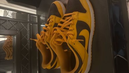 Dunks size 12
