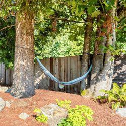 Brand New Sierra Hammock and Straps