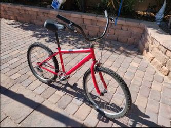 24" beach cruiser