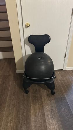Gaiam Balance Ball Chair