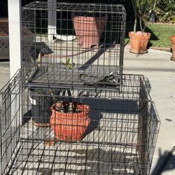 Animal Cages