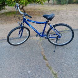 Motiv Smothie Bike 