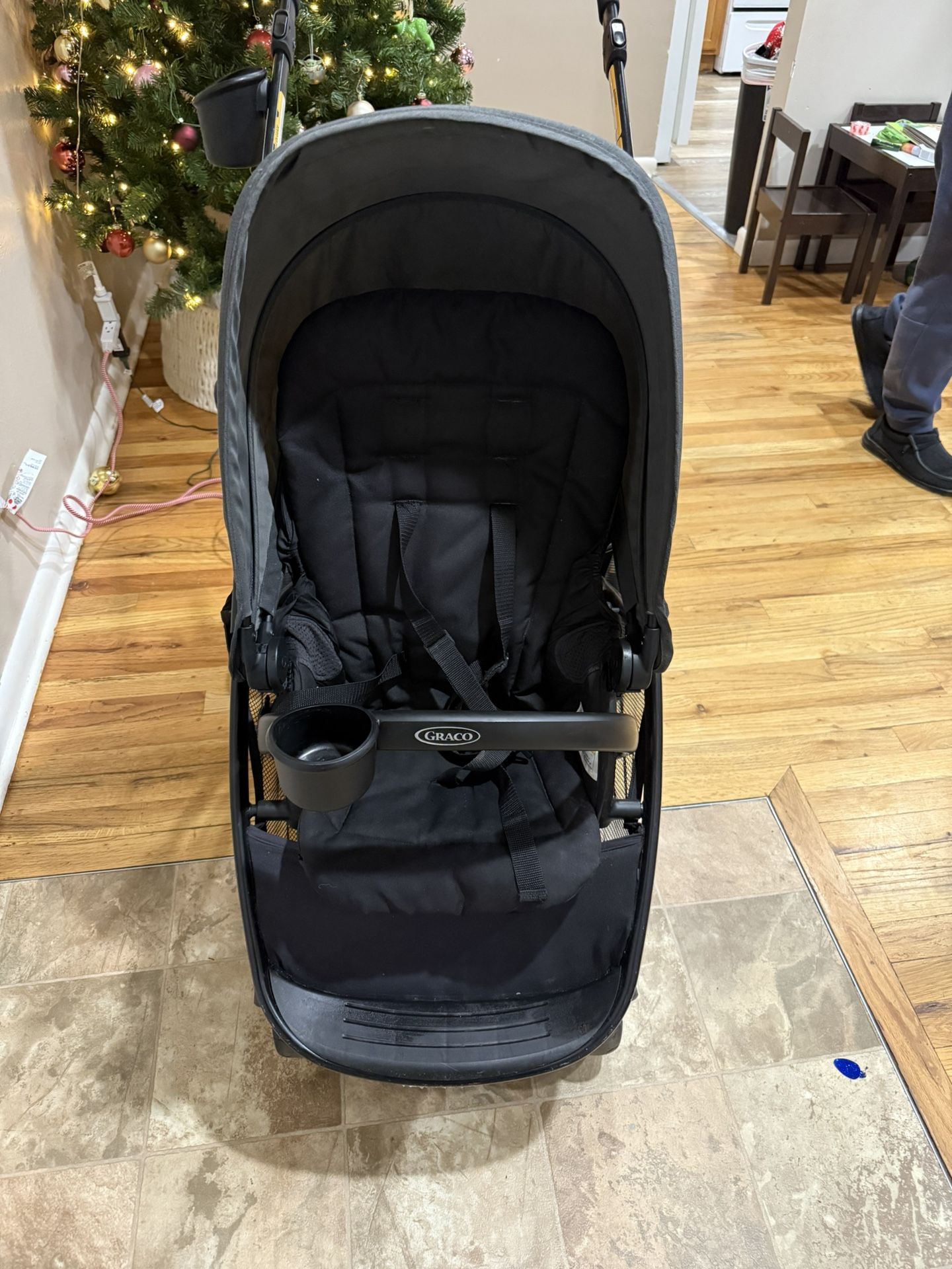 Free Graco Double Stroller 