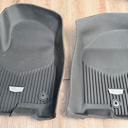 Cadillac Escalade all weather liner.