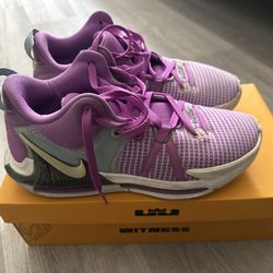 Shoes (LeBron witness) 