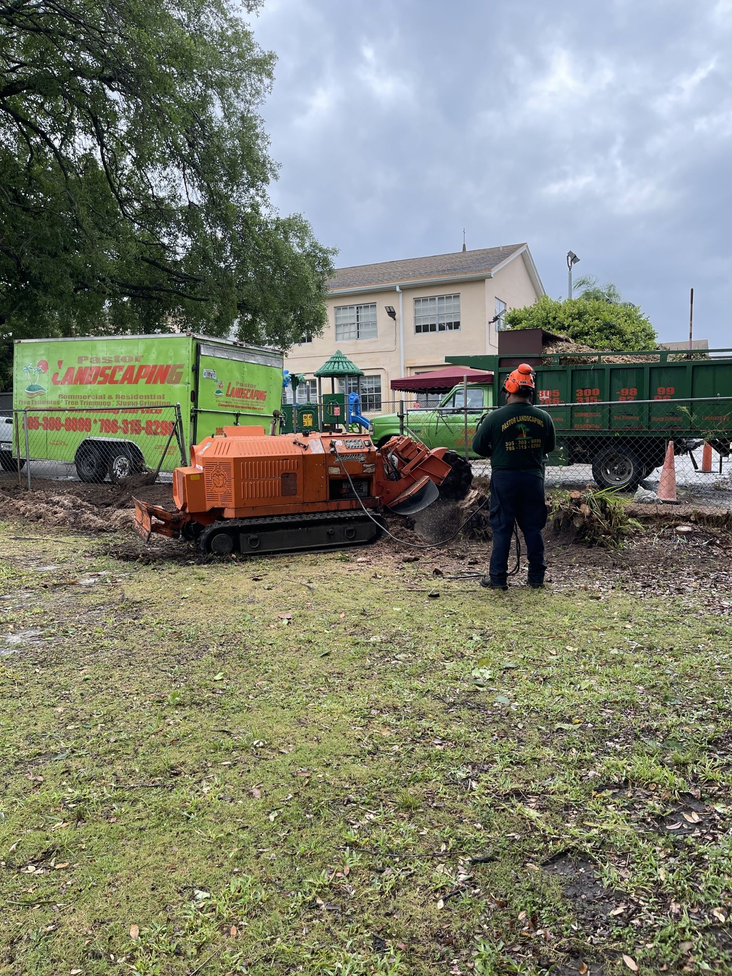 Stump Grinding