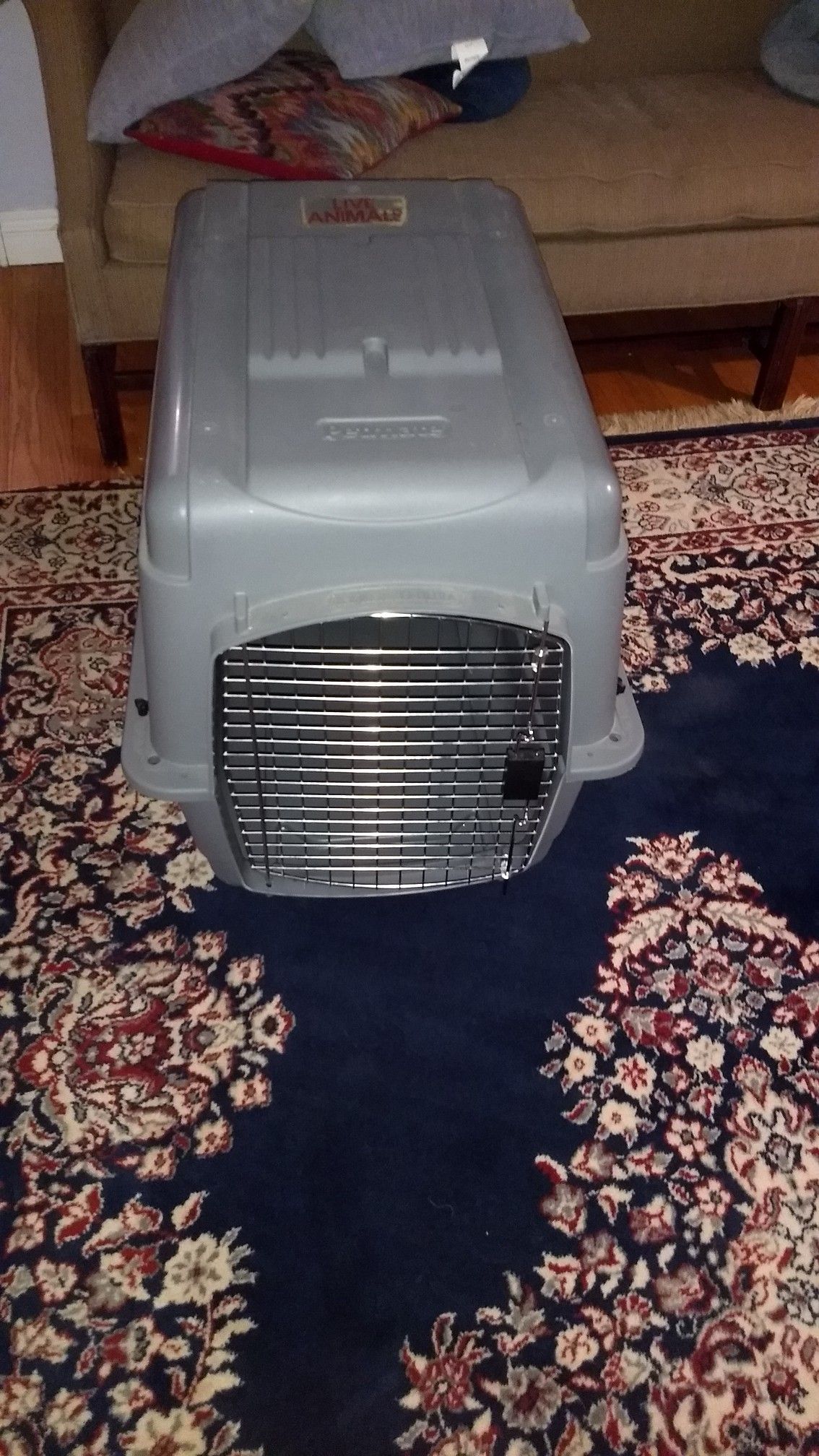 Petmate travel kennel