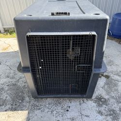 Pet Kennel