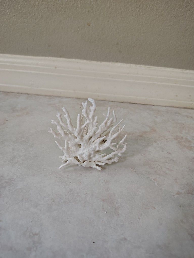 Fake Coral