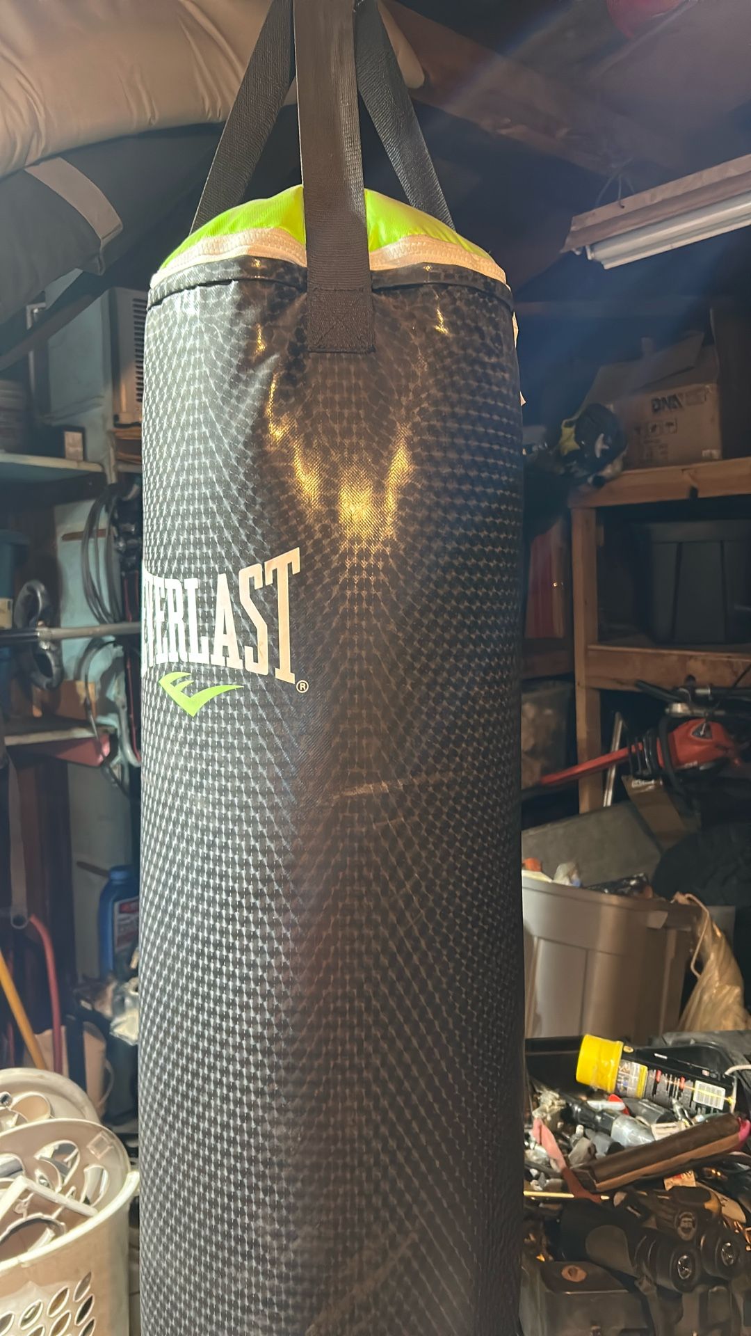 Everlast 80lbs Punching Bag