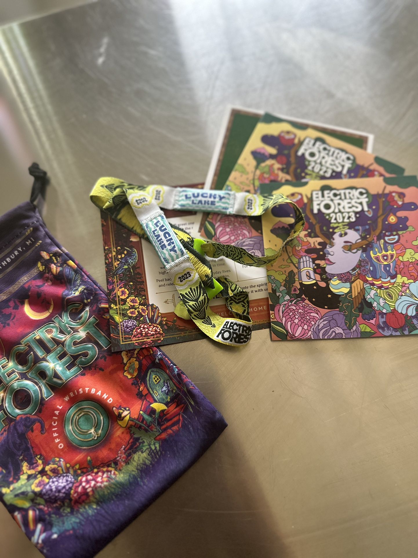 ELECTRIC FOREST FESTIVAL WRISTBANDS