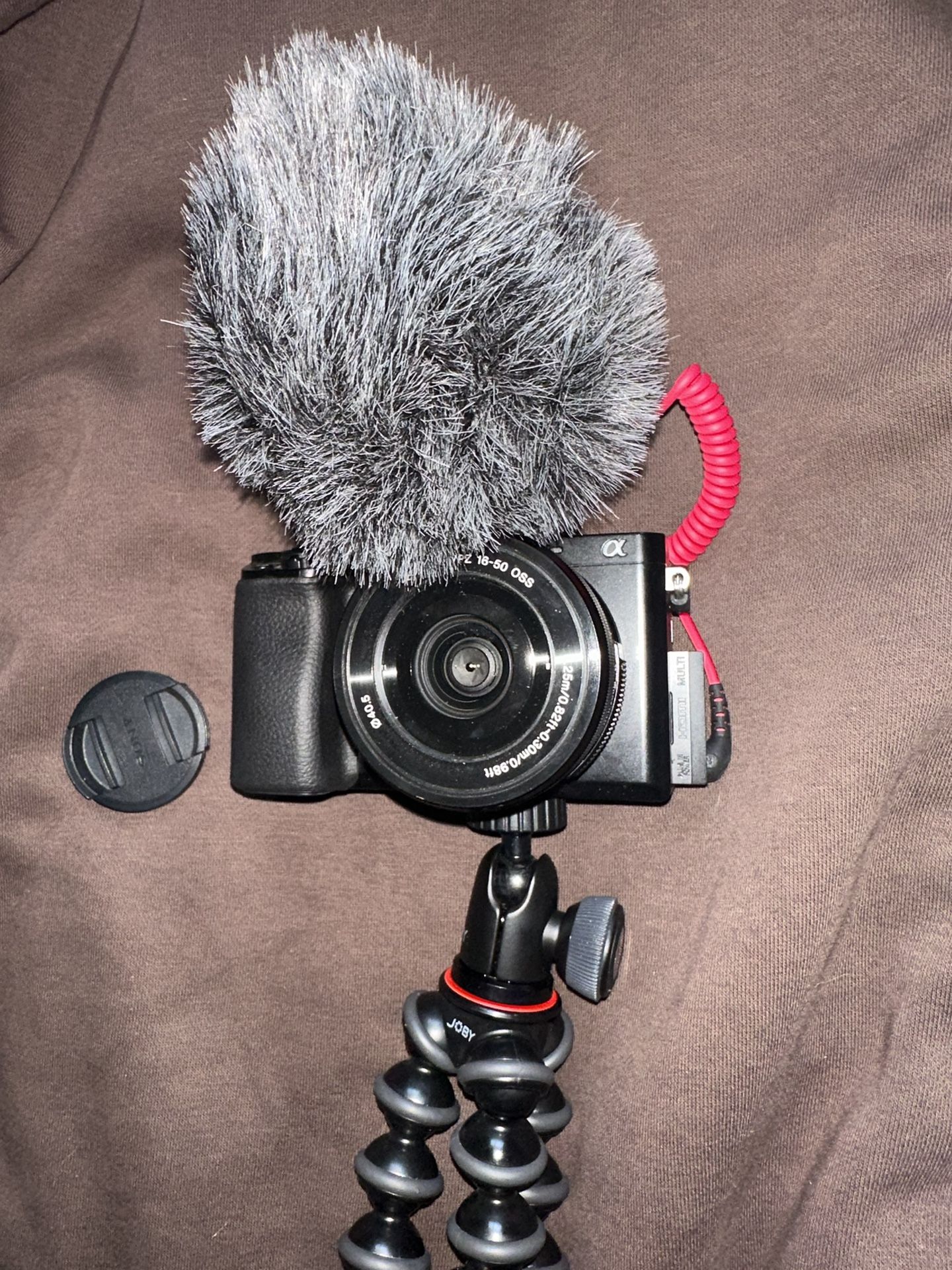 Sony Alpha 6100 w/ mic and tripod 