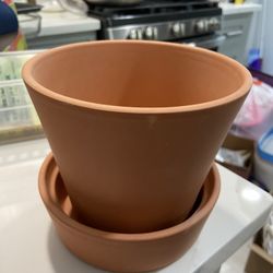 Plant Pot