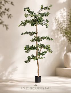 High-end 8’ Artificial Shady Lady Tree