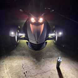 Purrs Like A Kitten Roars Like A Lion