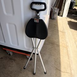 Cane with Seat