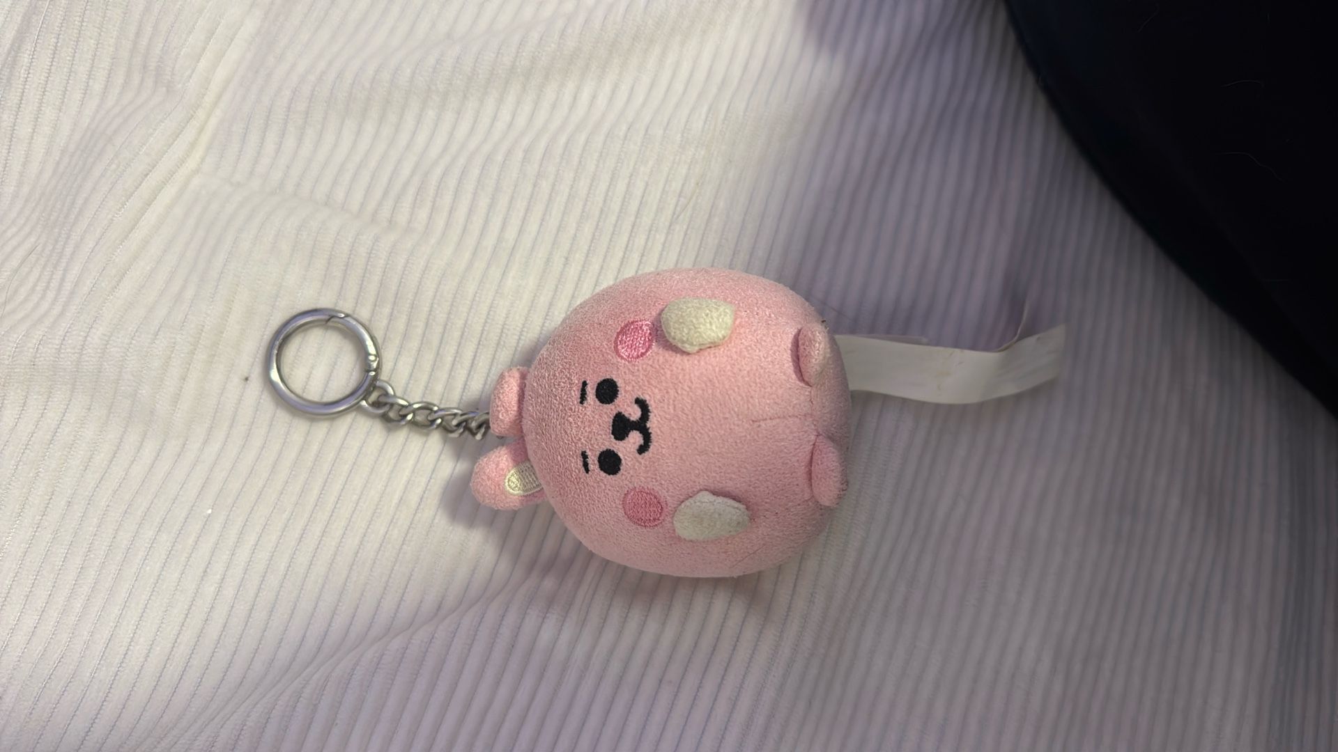 BT21 keychains 