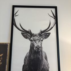 IKEA BJORKSTA Picture Deer Horns with black frame