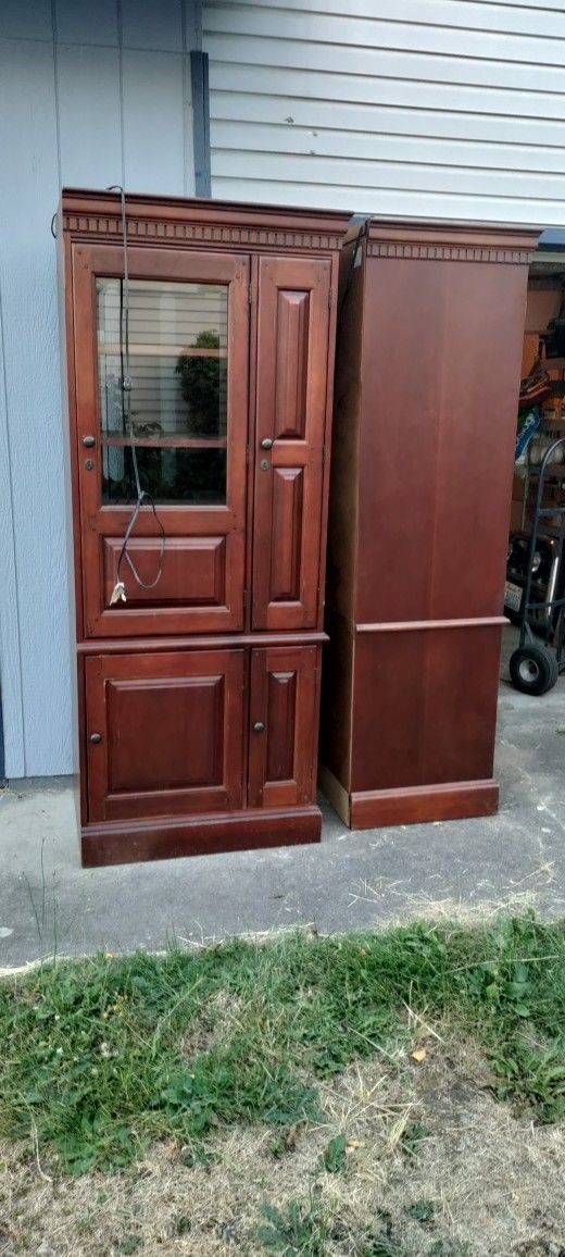 FREE FREE FREE 2 MATCHING LIGHTED STORAGE/MEDIA CABINETS SHELVES