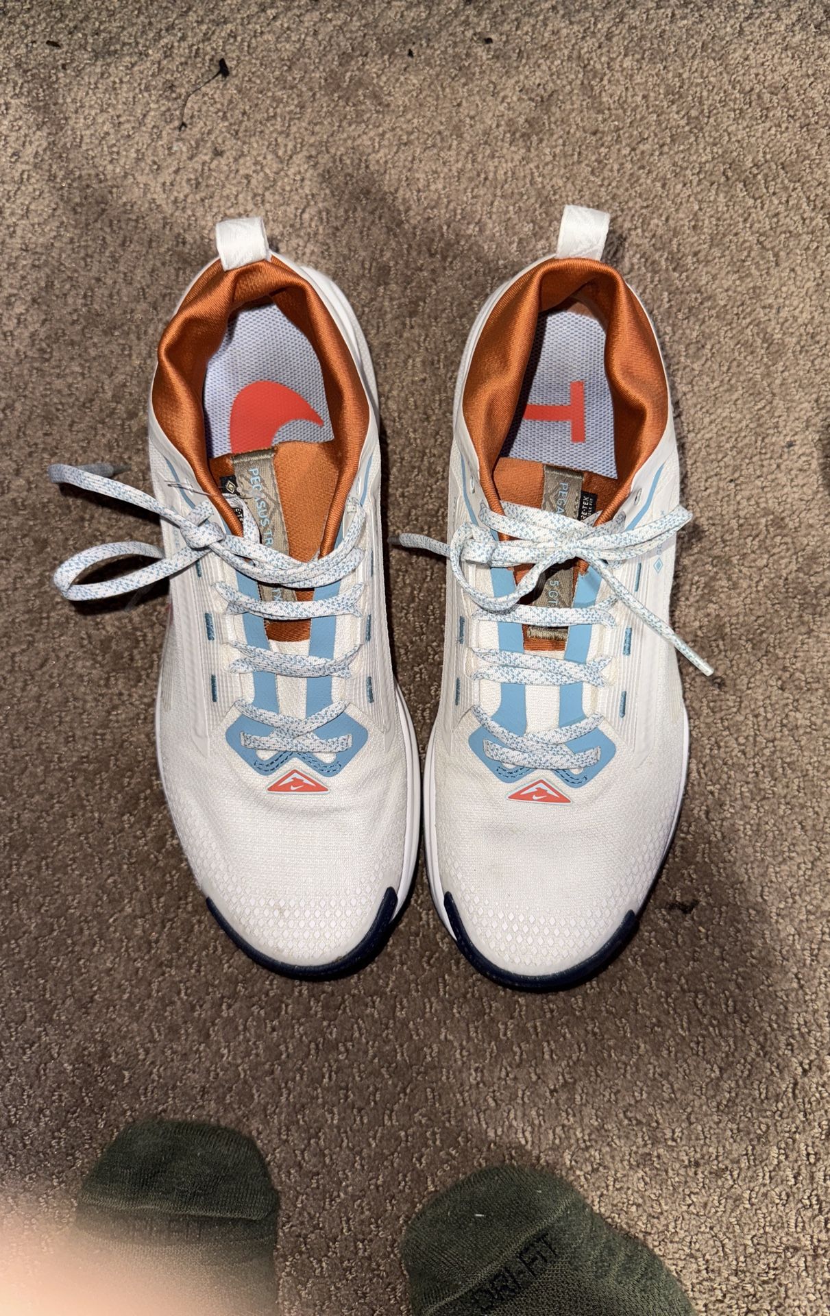Nike Pegasus Trail 5 GORE-TEX