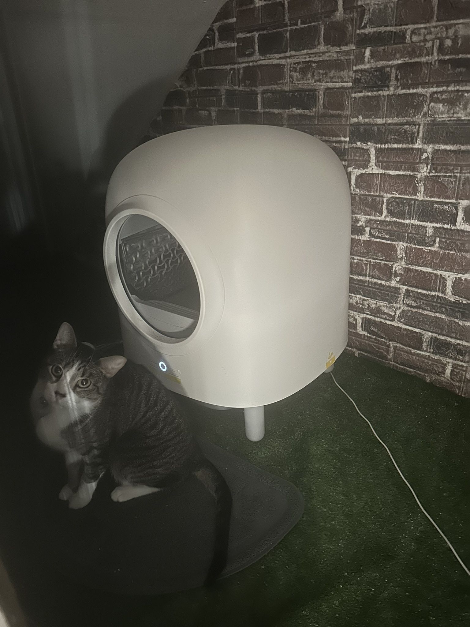 Petree Self Cleaning Cat Litter Box