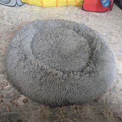 Dog Bed