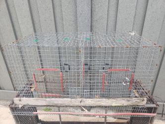 Quail Hutch