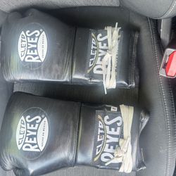Cleto Reyes Boxing Gloves