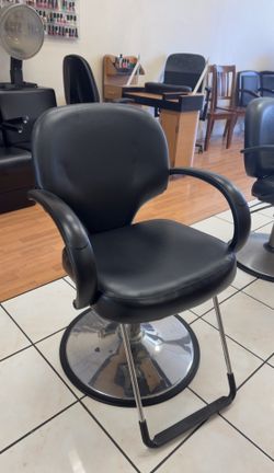 Salon Chair