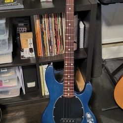 Electric Bass Guitar