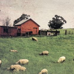 Farmhouse canvas with red barn