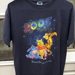 Vintage Disneyland 2005 Navy T-shirt