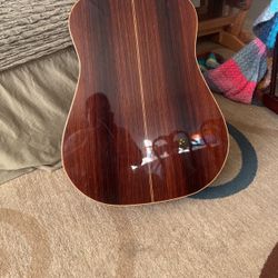 Palmer  Guitarra 