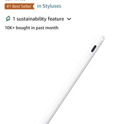 Ipad pen