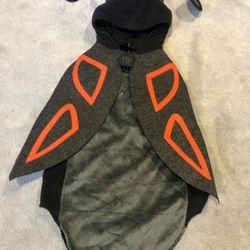 Pottery Barn Kids Halloween Costume (4-6Y)