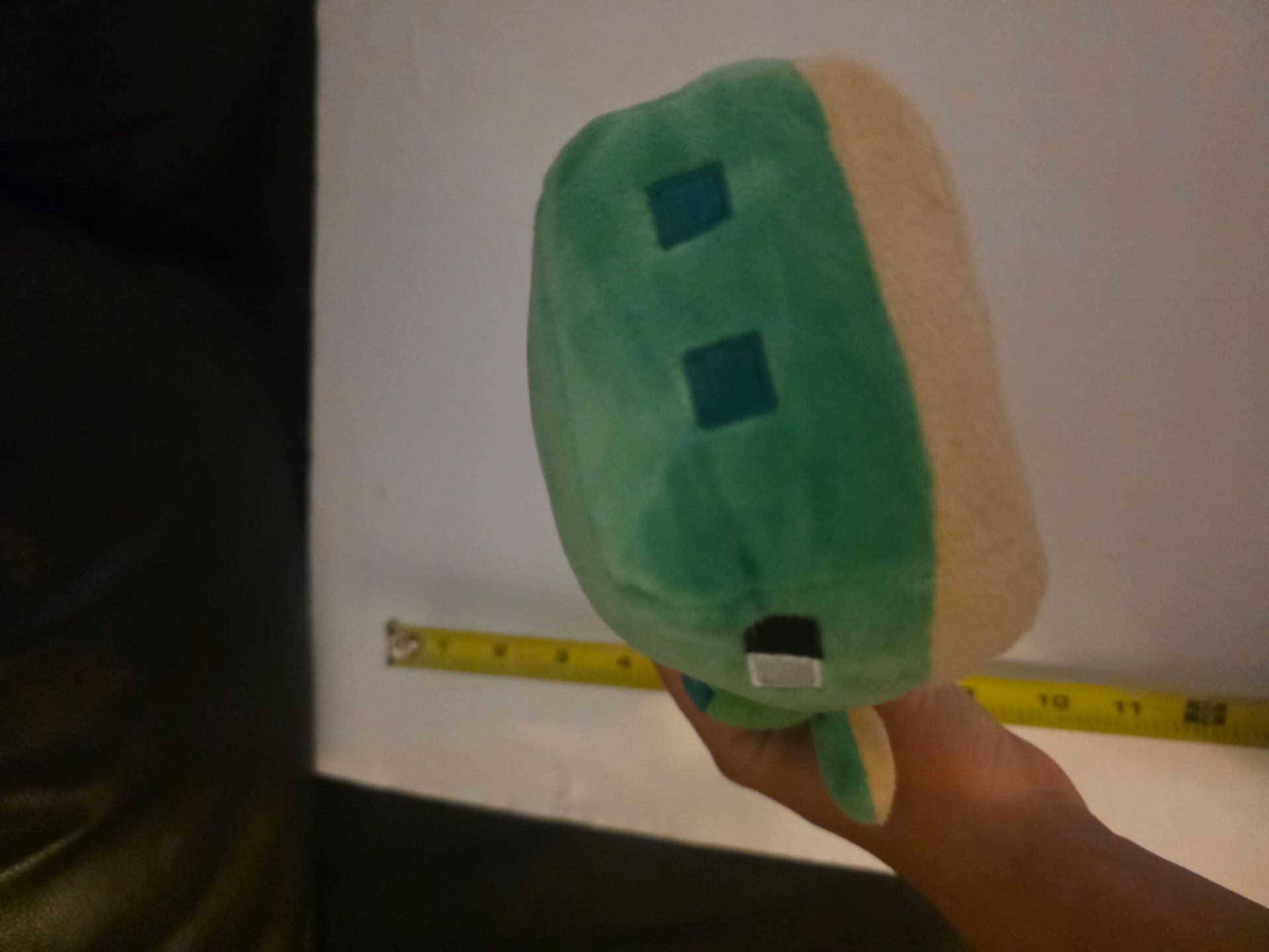 Minecraft turtle