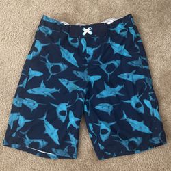 Boys Swim Shorts Size X-large