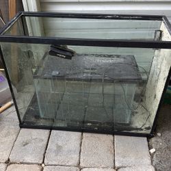 Fish Tank 