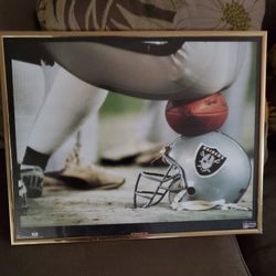 16 X 20 Raiders Picture