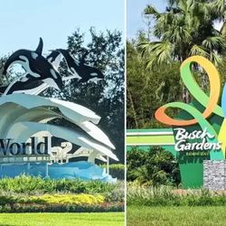 Seaworld Tickets And Vip Parking