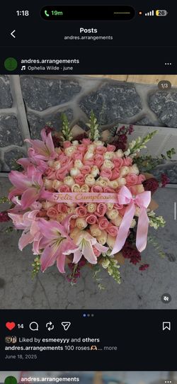 Flower Arrangements 
