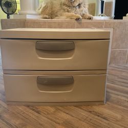Sterilite 2 Drawer Organizer - Solid & Sturdy