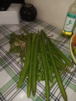 Moringa sticks