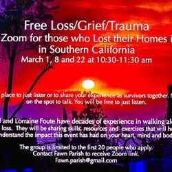 3 free Zoom sessions on Grief/Recovery/Loss  For Those Who Lost Homes In The Fires Starting  March 1