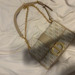 Dior Montaigne Chain Bag Nude