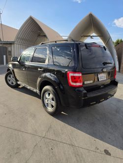 2010 Ford Escape