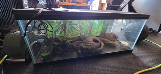 Reptile aquarium 13x30x13