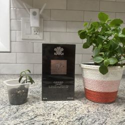 🏆 Creed Aventus – Holiday Limited Time Special! 🏆