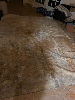 Large Area Rug – Heavily Soiled