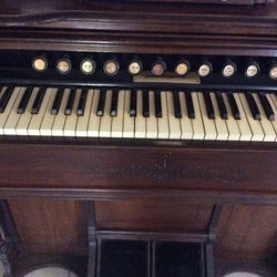 Antique Organ